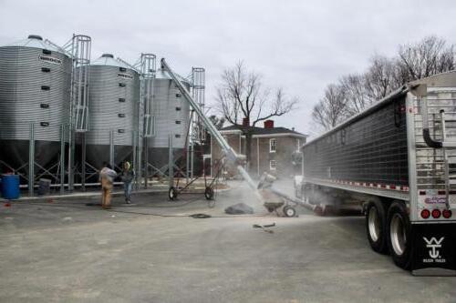 The distillery regularly receives deliveries of corn, wheat, rye and barley into our grain bins.